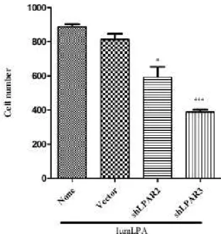 Figure 5. LPAR2  expression was silenced by speciﬁ c  shRNA in the BGC-803 cells. Total RNA was isolated  using  a  total  RNA  isolation  kit