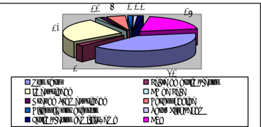 Gráfico 6 – Distribuição da amostra por etiologia  Fonte: Elaboração efectuada pela própria (2011) 