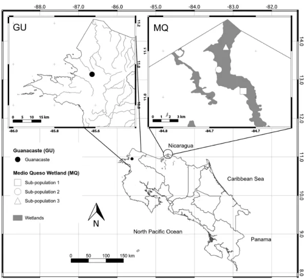 Figure 1 Map of sampling sites. Map of Costa Rica depicting the location of the only two known popu- popu-lations of Oryza glumaepatula