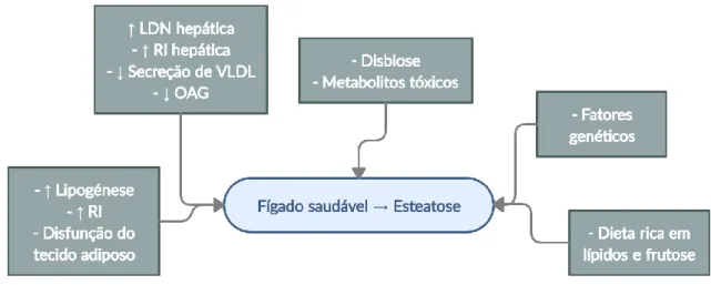 Figura 2 – Fatores que influenciam o aparecimento de DFGNA (adaptado de (28)) 