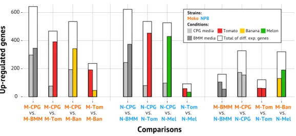 Figure 2 Differential gene expression across all tested comparisons. Each comparison is described by three bars: the first and second inside colored bars corresponds to the number of genes differentially  up-regulated in the first and second condition, res