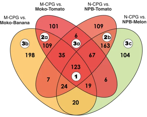 Figure 3 Venn diagram of differentially expressed genes in R. solanacearum strains growing in planta compared to in rich medium