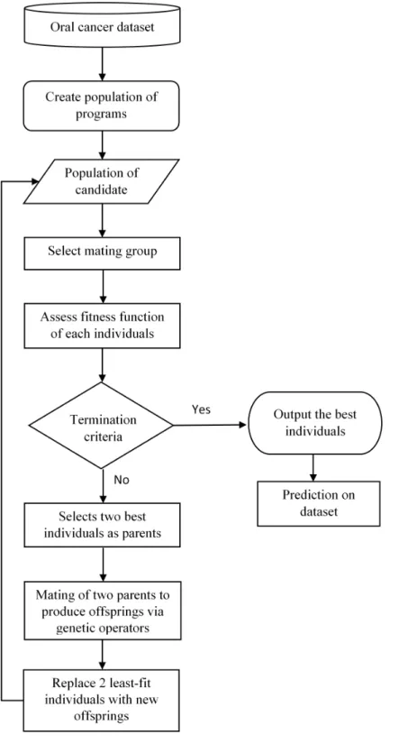 Figure 1 Framework of oral cancer prognosis with genetic programming.