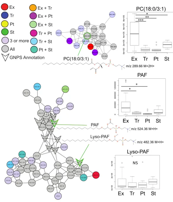 Figure 2 Molecular network of exacerbation biomarkers. Molecular network clusters containing two significant biomarkers of exacerbation identified in the CF sputum metabolome data