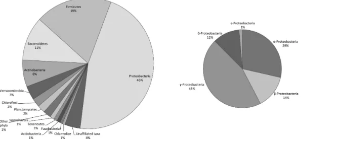 Figure 2 Relative richness of the heterotrophic bacterial operational taxonomic units (OTUs) at the phylum level, found in commercially avail- avail-able ‘‘Spirulina’’ food supplements in the Greek market.