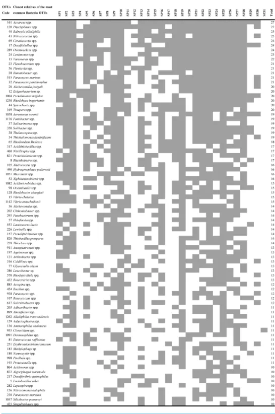 Figure 3 Heatmap of occurrence of the most common (found in ≥ 10 products) operational taxonomic units (OTUs) that were closely related to heterotrophic bacteria in commercially available ‘‘Spirulina’’