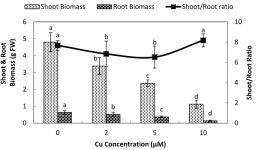 Figure 1 Impact of elevated levels of Cu 2 + on biomass production of stone-head cabbage (Brassica oleracea var