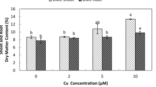 Figure 2 Impact of elevated levels of Cu 2 + on dry matter content of stone-head cabbage (Brassica oleracea var