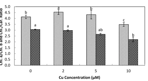 Figure 4 Impact of elevated levels of Cu 2 + on pigment content (chl.a/chl.b &amp; chl./car
