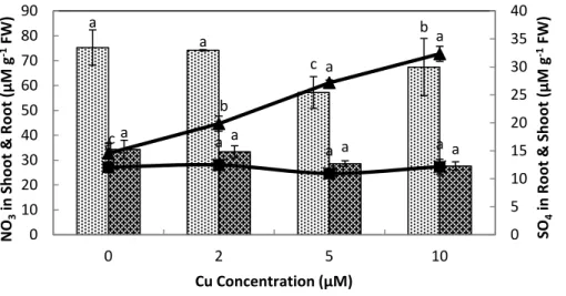 Figure 5 Impact of elevated levels of Cu 2 + on nitrate and sulfate content of stone-head cabbage (Brassica oleracea var