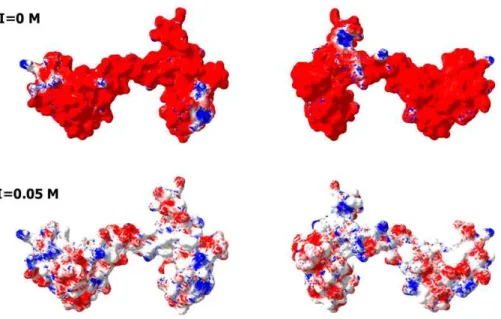 Figure 4 Analysis of the charge distribution on the surface of CaM molecule. PDB file: 1CLM