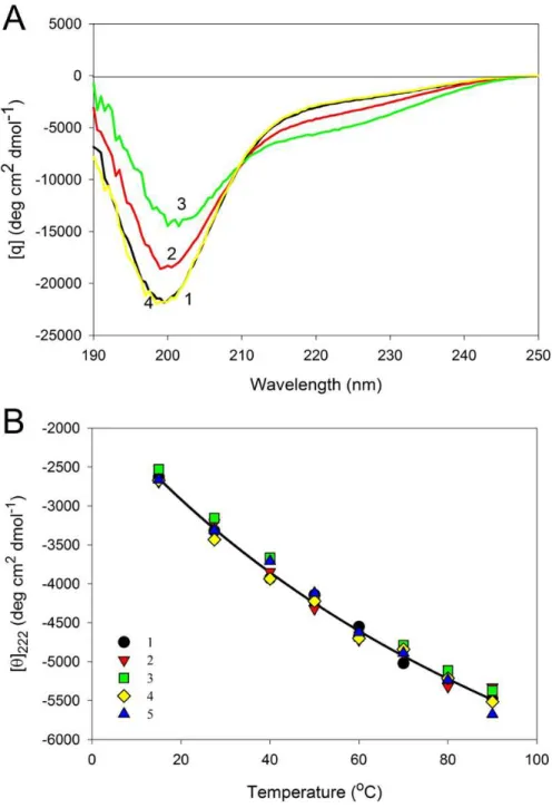 Figure 9 Effect of temperature on far-UV CD spectra of CaD 136 . (A) Far-UV CD spectra of W674A mutant of CaD 136 measured at different temperatures: 15 ◦ C (1); 40 ◦ C (2), 90 ◦ C (3) and 15 ◦ C after the cooling (4)