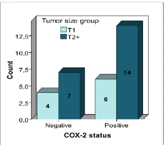 Figure  14:  Correlation  between  COX-2  expression  and  age,  considering  2  groups
