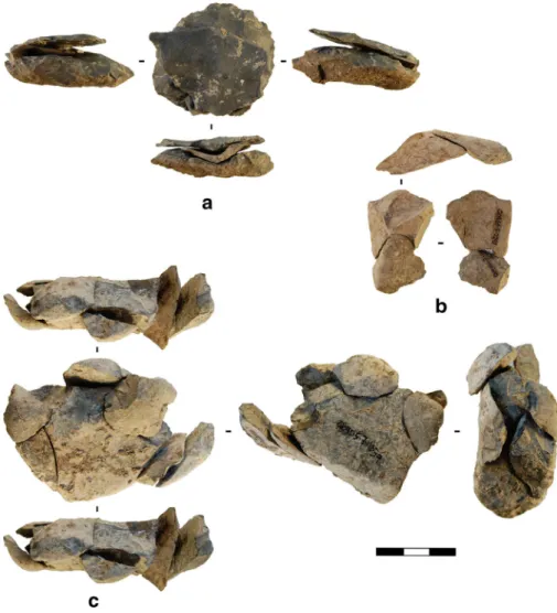 Fig. 6 Refitting evidence from level IV: Levallois (preferential method) flakes refitted on their core (a);