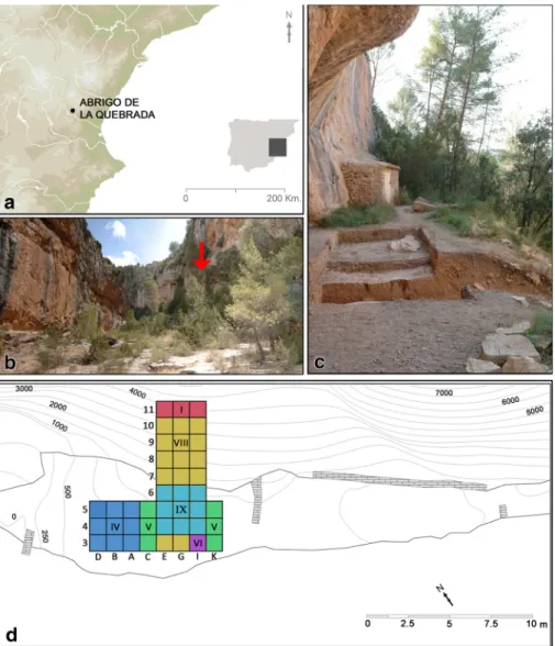 Fig. 1 Abrigo de la Quebrada: location (a, b); site overview (c); excavation trench (the Roman numerals indicate the level reached in each square) (d)