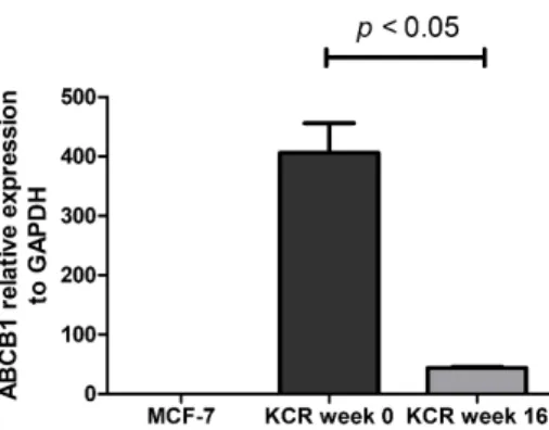 Figure 4. Western blot analysis for protein expression of ABCB1 in KCR cells in week 0, 10 and 15