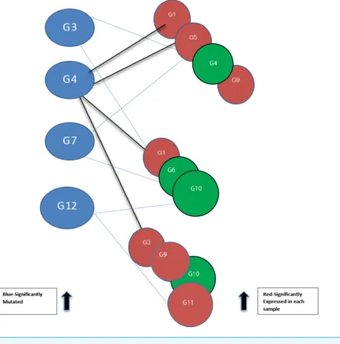 Figure 2 Bipartite graph constructed from the 12-node network in Fig. 1. Blue nodes represent mu- mu-tated genes