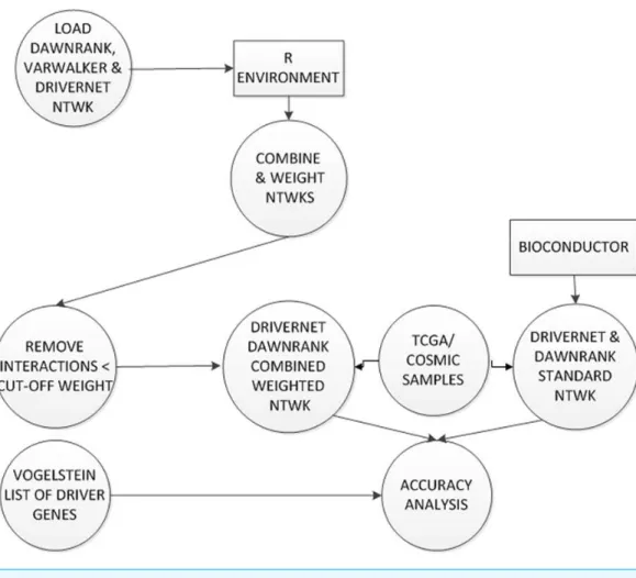 Figure 6 Construction and testing of weighted combined network. Each interaction in the combined network was weighted