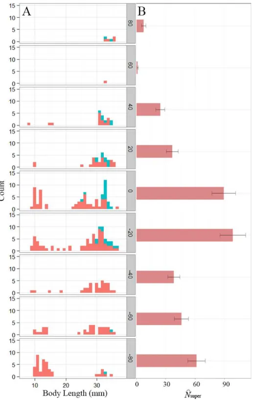 Figure 1 Distribution of Eurycea tonkawae near Lanier Spring, Bull Creek, Travis County, Texas