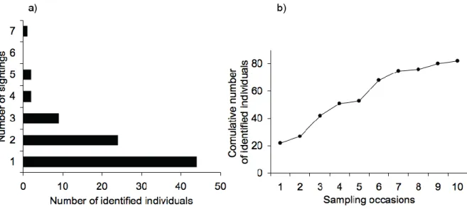 Figure 3 – Number of times identified dolphins were sighted during all sampling occasions (a), and cumulative  number of identified individuals over sampling occasions (b)