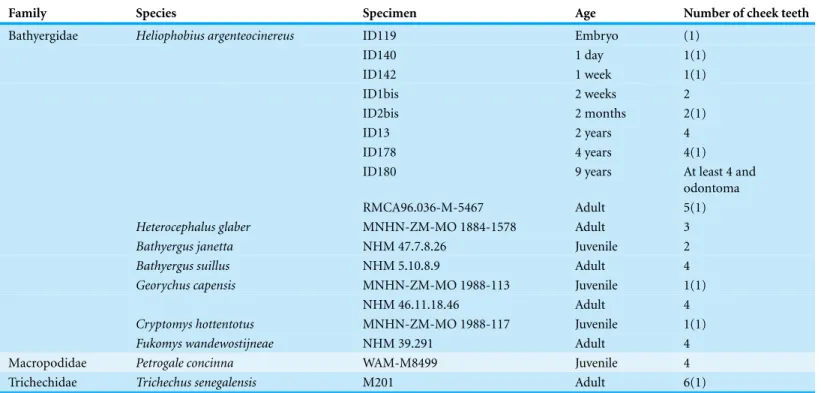 Table 1 Absolute or relative age, and corresponding number of teeth per tooth row for investigated specimens