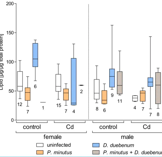 Figure 6 Lipid content in infected and uninfected G. fossarum females and males after cadmium exposure