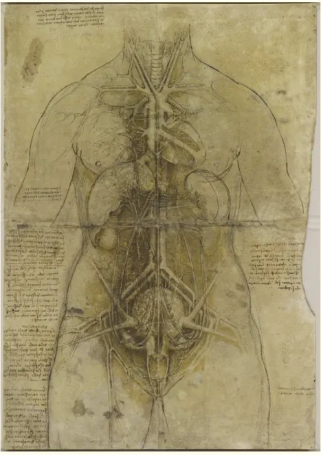 Figure 1. Leonardo da Vinci: The cardiovascular system and principal organs of a woman