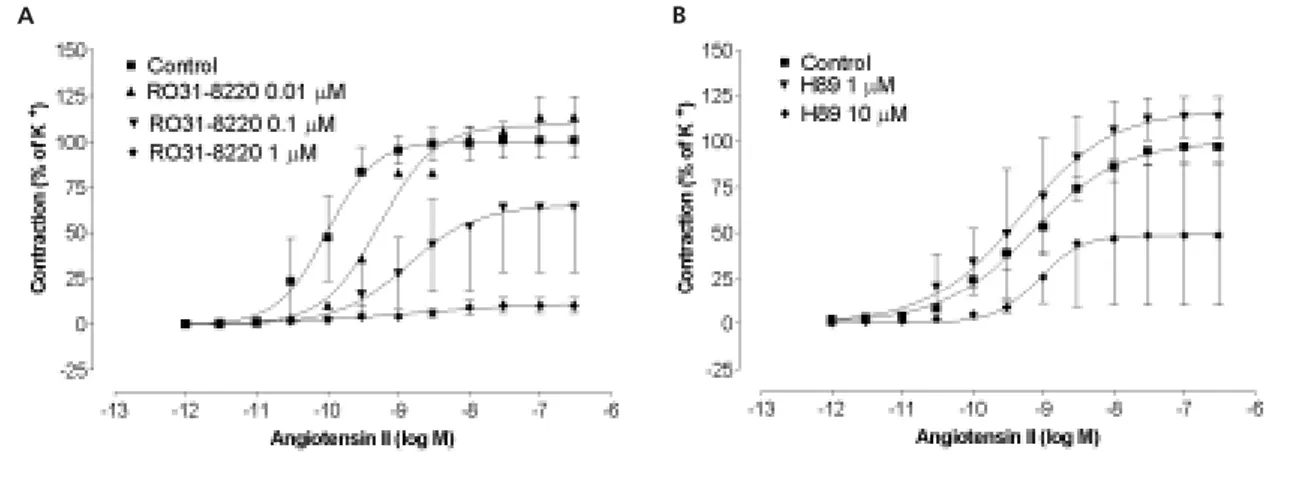 Figure 4  Concentration-response curve for Ang II after pre-contraction with U46619 (0.1 µM) and relaxation with forskolin in the absence and presence of 100 ng/ml pertussis toxin (PTX)