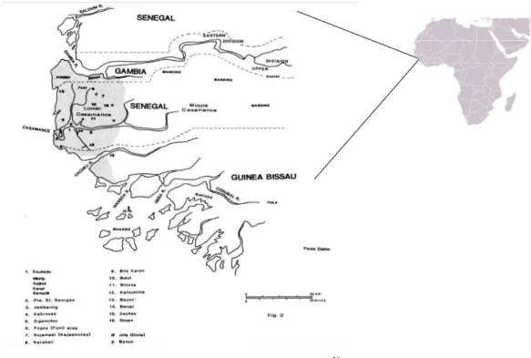 Figura 2.1: Espaço Joola 30