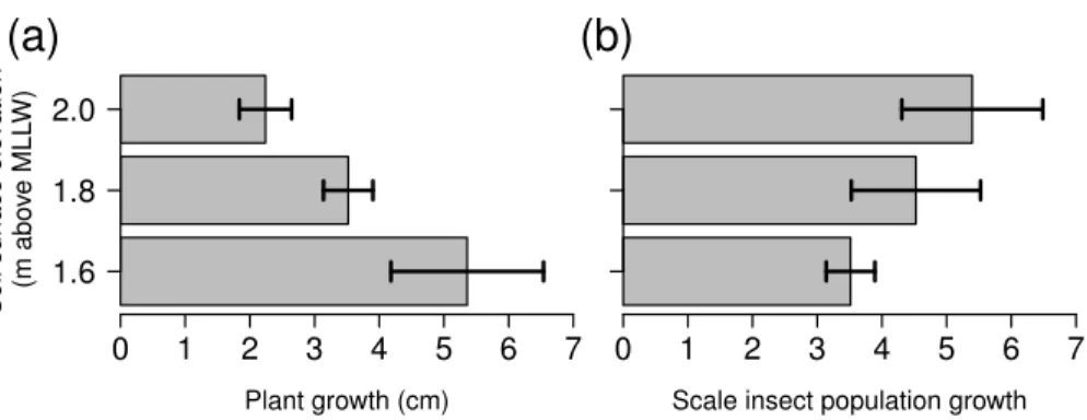 Figure 3 Growth of Spartina foliosa plants (A) and proportional growth of scale insect populations (B) in mesocosms connected to the tide controller at three elevations