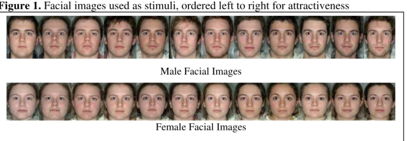 Figure 1. Facial images used as stimuli, ordered left to right for attractiveness 