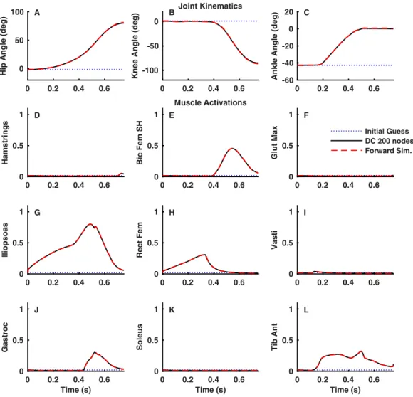 Figure 6 Joint kinematics (A–C) and muscle activations (D–L) for the lower limb optimal control problem