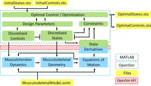 Figure 1 OpenSim-MATLAB interface for solving optimal control problems using direct collocation