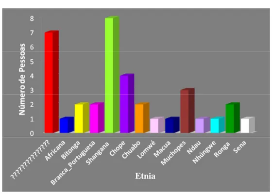 Gráfico 3 – Representa a variação das Etnias dos entrevistados. 