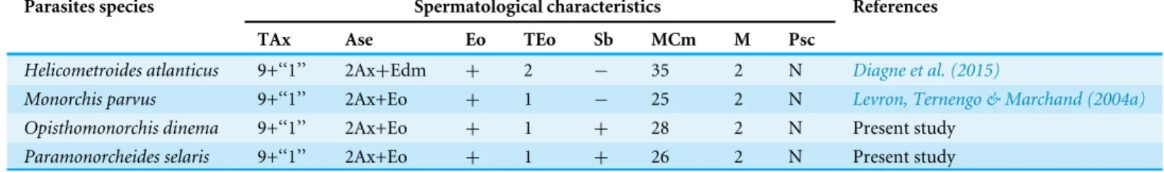 Table 1 Comparative ultrastructural characteristics of the spermatozoon in the Monorchiidae