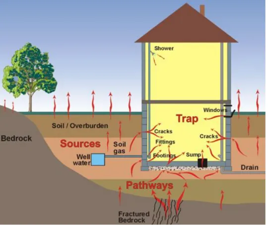 Figura 9- Fontes de radão e mecanismos/meios de entrada nas habitações.  
