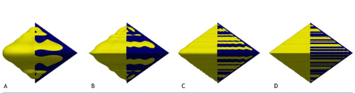 Figure 10 shows the application of the described method to a more complex geometry.