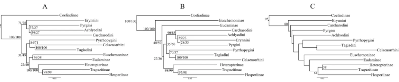 Figure 1 Comparison of best ML trees across analyses. The best ML trees from (A) the concatenated dataset, (B) combined nuclear dataset and (C) degenerated dataset (degen_1)