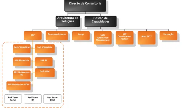 Ilustração 6 – Organograma da Direcção de Consultoria 