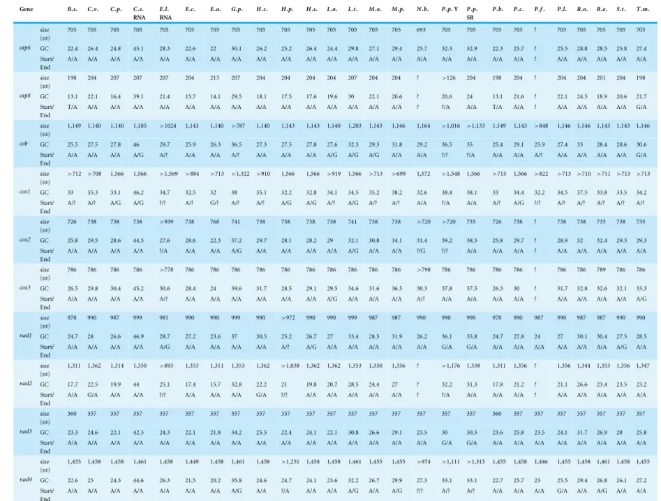 Table 2 Size, GC content and start and end codons for the genes of the newly obtained mtDNA