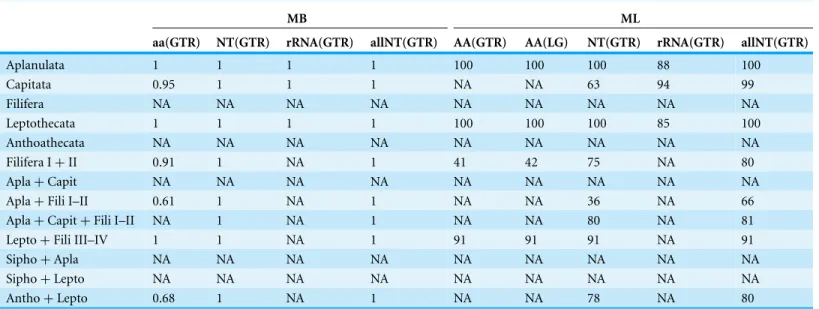 Table 3 Posterior probabilities and bootstrap values for different clades within Hydrozoa.