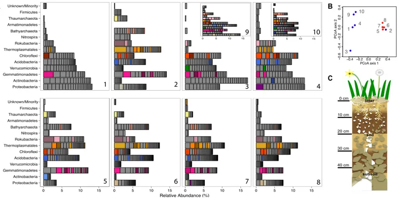 Figure 1 Prokaryotic diversity and abundance over sampling time and depth. Ribosomal protein S3-encoding scaffold relative abundances for each sample are plotted in (A), and organized as follows: pre-rain (1, 5), four days after the first rainfall (2, 6), 