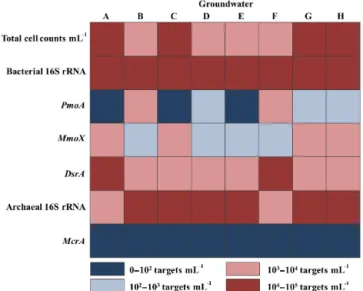 Figure 3. Total cell concentration and copy number abundances of bacterial and archaeal 16SrRNA genes and functional key genes for aerobic CH 4 oxidation (pmoA and mmoX), CH 4 production (mcrA) and sulfate reduction (dsrA) in the groundwater carried out by