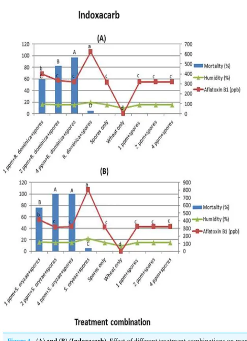 Figure 4 (A) and (B) (Indoxacarb). Effect of different treatment combinations on mortality of R