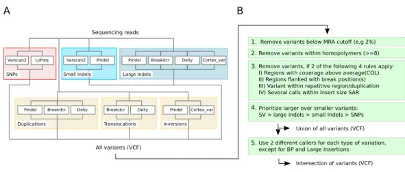 Figure 3 Detection capabilities of different tools at low frequencies. (A) shows the variant types that were successfully detected by the different software tools while (B) shows the post filtering steps to  elim-inate false positives