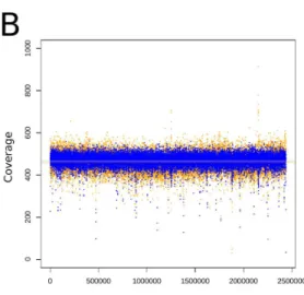 Figure 6 Coverage plots of simulated and re-sequenced data. The simulated reads without variants were mapped back to an incomplete reference (A) and the complete reference (B)