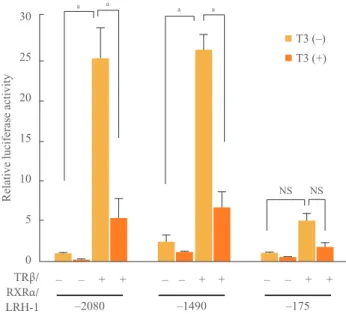 Fig. 3. Repression of expression from the 5ʹ deletion small het - -erodimer partner (SHP) promoter by the thyroid hormone