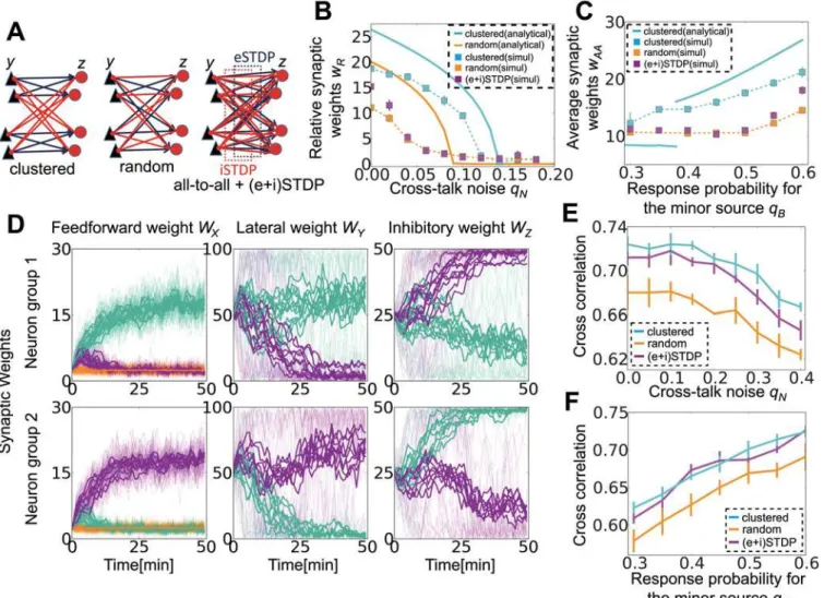 Fig 5. Lateral connection structuring by excitatory and inhibitory spike-timing-dependent plasticity (STDP)
