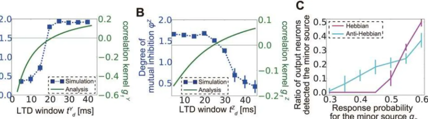 Fig 6. Correlation propagation shapes lateral connection structure. (A) Comparison between feature selectivity ϕ Y (blue dots) calculated from simulation results and analytically calculated correlation kernel function g 1 Y (green line) for lateral excitat