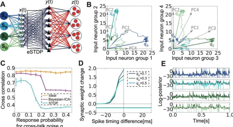 Fig 7. With lateral inhibition, spike-timing-dependent plasticity (STDP) mimics Bayesian independent component analysis (ICA)